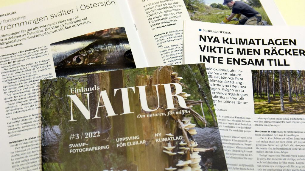 Kuvia painetusta lehdestä